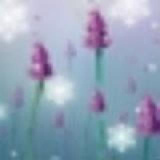 嘟嘟妈妈