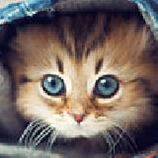 甜梦 海玻璃 鼓浪屿