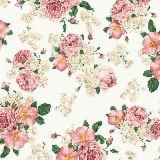 一个姓疯的孩纸