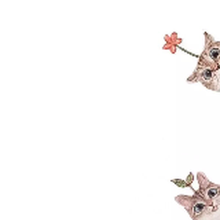 好名字都让猪起了
