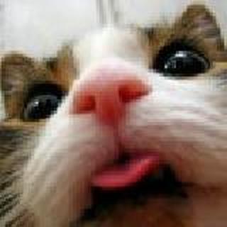 tf小螃蟹，我的爱