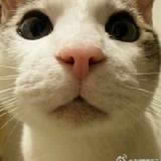 当时我就震2930098285