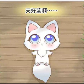 龙猫猫、min