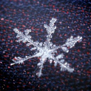 粒粒雪