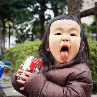 ▲   向日葵、