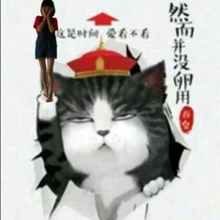 猫巷鱼未归