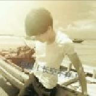 半城繁華半城傷づ