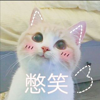 🐾拾岁(ฅ'ω'ฅ)♪