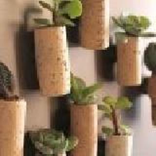 潼潼🌺Lays✨six