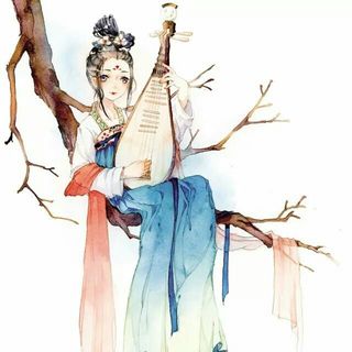 紫色`薰衣草
