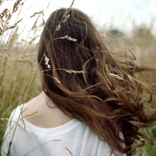 ╰木槿天堂的彼岸花