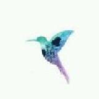 我只在乎郑秀妍