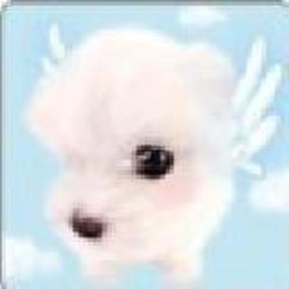 夏天向日葵在微笑