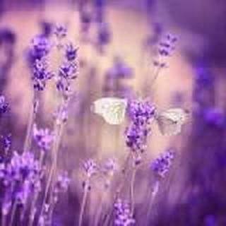 无处安放的青春wcafdqc