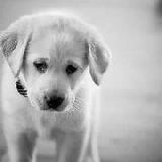 天色将晚不回去睡觉吗