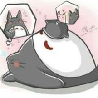 夏有木樨雅望天堂