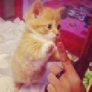 隔着纱，模糊眼。