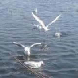 你是我永远的唯一