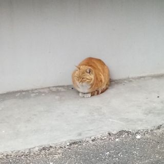 南城以南亦是南