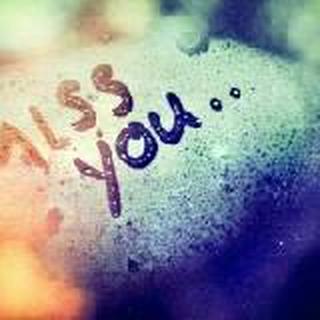 风吹梨花雨微凉