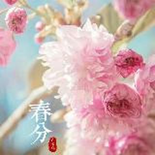 柠檬柚子