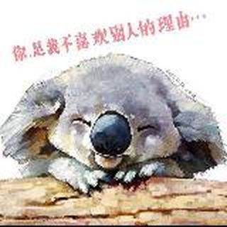 披着龙猫皮的兔子