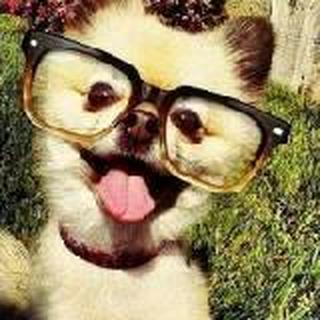 坐在椅子上长蘑菇