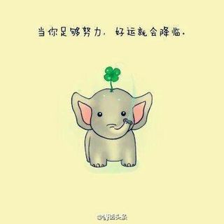 消失滴小蛮腰