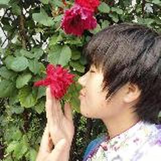 虎背熊腰的洋葱