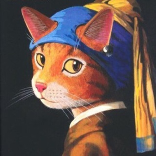 大叶猫爪花