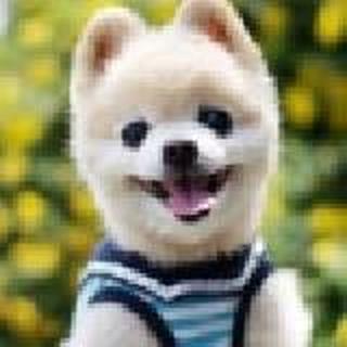乄珍ら汉子