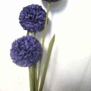 逝去青春