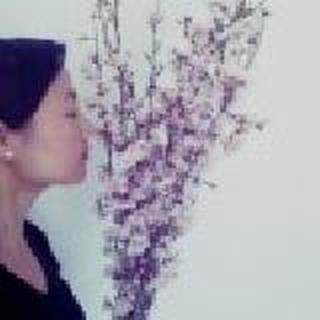 洛