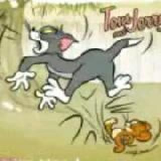 一只落荒逃的猫