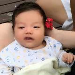 大爱阳宝