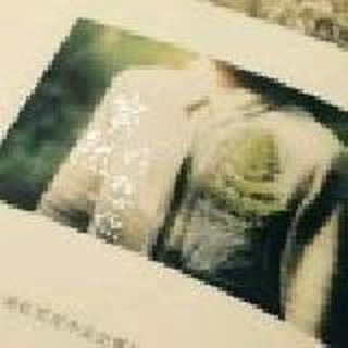 尘埃落定 －Somnr