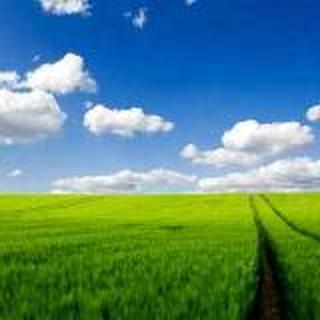 努力才会幸福。