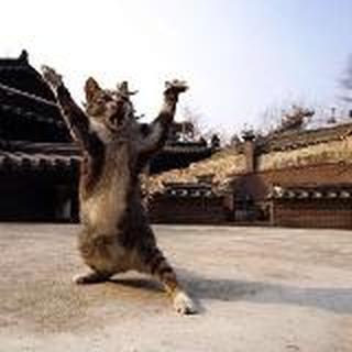 阿睿life