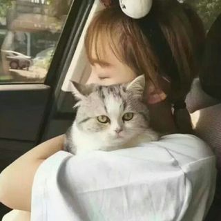 ≮叭啦叭啦咻≯