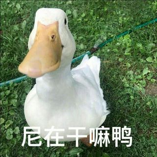 哈哈哈沙雕网友