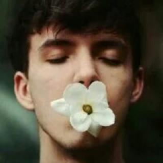(๑•ั็ω•็ั๑)呆萌no