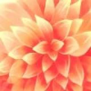 阿代