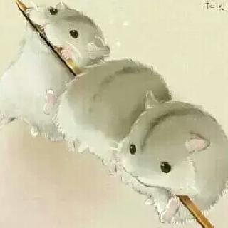 ❀尘缘❀