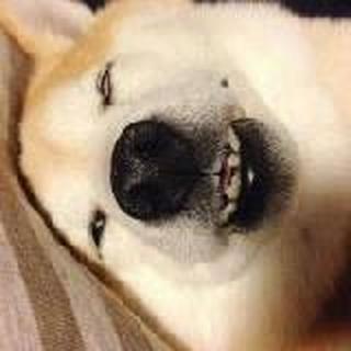 打南边来了只小蒲子