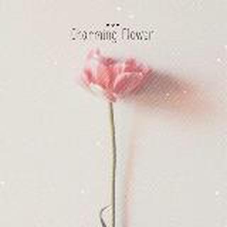 ⚜可可西西里℡