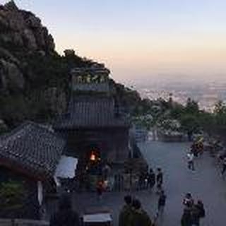 福可可可可