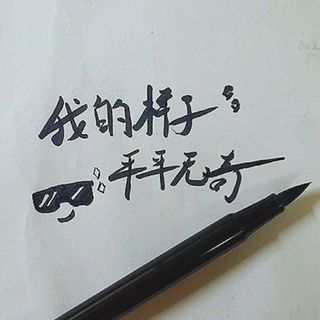 我的样子平平无奇