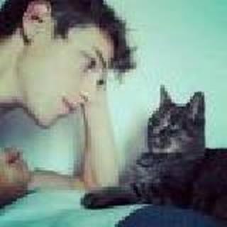 覆轻轨.S.‖浑者.老烟鬼.