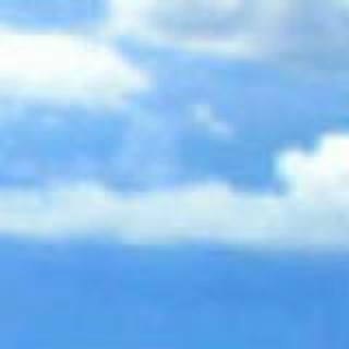 曲奇