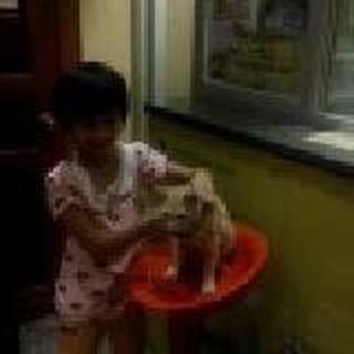 半人半猫半狗半妖⊙▽⊙